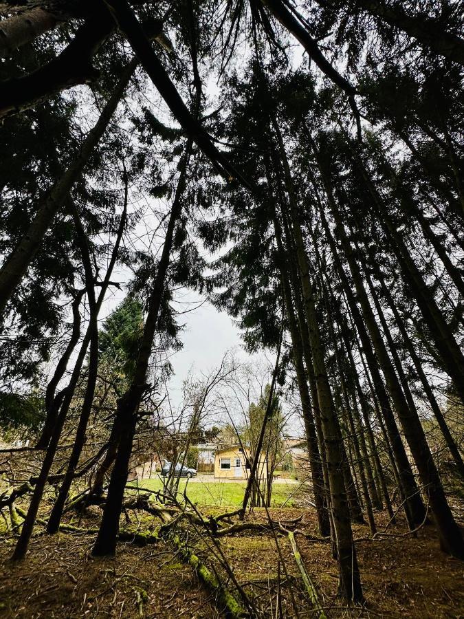 Ferienhaus Biber Godendorf  Екстериор снимка